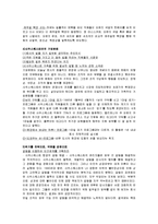 [국제관광전략론] 국제관광산업의 관광전략 사례연구 - 사우스웨스트 항공사(SOUTHWEST항공사)-11