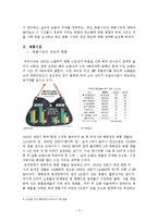 경제학 - 위조 상품 산업[Black markets] 규제와 개선방안-3
