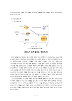 기업의 경영전략 분석 - 에프아이투어 경영 전략-10