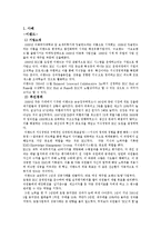 [경영,경제] BSC 국내 기업 사례-1