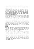 [경영,경제] BSC 국내 기업 사례-7