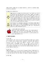 [국제경영학]애플사 경영전략 및 성공요인 분석-15