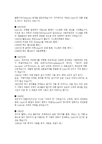 [마케팅보고서] 기업 분석 - 청바지 리바이스-5