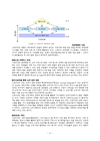 21세기 새로운 경영패러다임-지식경영-11