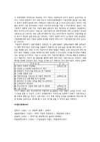 [경영학] 한국기업의 성공요인과 실패요인-7