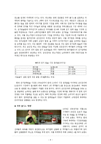 [경제]‘쿠쿠홈시스’의 글로벌 시장전략 및 글로벌 마케팅 전략 분석-8