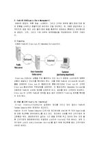 [경영학원론] 페덱스[fedex]의 물류시스템에 대해서-11