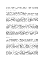 [경영정보시스템] 기업포탈시스템에 대해-3