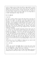 [마케팅원론] 오리온 초코파이 해외시장 전략-4