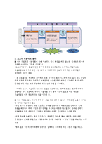 재미있는 자동차 이야기 - 도요타 리콜 사태 사례-3