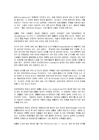 [도시계획] 베를린과 워싱턴의 특성 및 도시계획-5