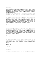 마케팅 전략 - 현대자동차 EF소나타 마케팅 사례-5