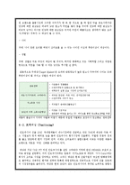 국내기업 해외진출 성공사례 - 미원의 인도네시아 진출-13
