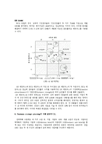 마케팅 - 마케팅 관리에 관해-5