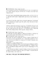 [경영학] 구조화 채권의 종류와 시사점-4