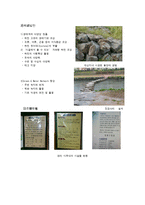 선진 도시 벤치 마킹[온천천]-6