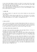 관광기업의 경영전략 분석 - 제주항공 경영전략-10