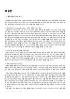 관광기업의 경영전략 분석 - 제주항공 경영전략-11