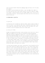 [광고] 광고 산업구조와 광고 대행사의 역할-3