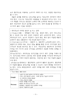 국제관광전략론 - Disneyland[디즈니랜드] 전략분석-13