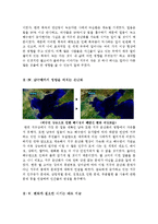 [영화감상문] 영화 불편한진실을 보고-3