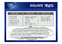 [통신] 정보통신 NGN[Next Generation Network] 정의와 미래-4