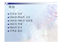 지바이오테크놀로지 - 유전자 전이의 원리-2