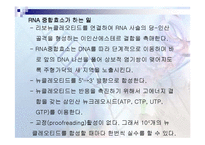지바이오테크놀로지 - 유전자 전이의 원리-13