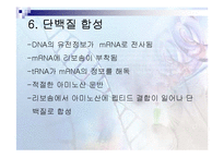 지바이오테크놀로지 - 유전자 전이의 원리-16