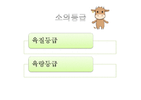 식품 - 소고기 이력제 및 등급관리-5