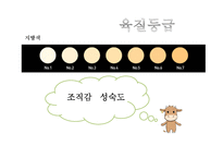 식품 - 소고기 이력제 및 등급관리-10