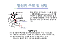 [흡착성재료] 활성탄에 대해서-5