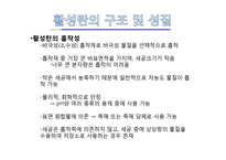 [흡착성재료] 활성탄에 대해서-6