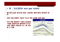 환경공학 - CCS(Carbon capture and storage)의 현황 및 중요성-12