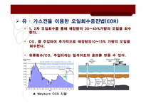 환경공학 - CCS(Carbon capture and storage)의 현황 및 중요성-13