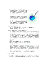결과 분석 및 보고서 - GPS에 대한 이해 및 적용 실습 결과 보고서-5
