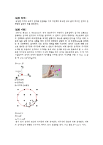 [전자기학] em - 자기장 속에서 전자를 원운동을 시켜 자연계의 중요한 상수 값의 하나인 전자의 전하량과 질량의 비를 측정-1