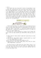컴퓨더 및 네트워크 시스템 - DNS에 대해서-1