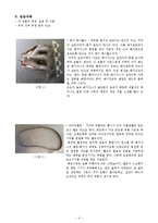자동차 기초 실습 - 엔진의 구조-4