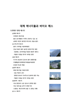 [응용 유체 역학] 대체에너지 - 바이오 디젤에 대해서-2
