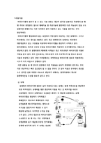 [응용 유체 역학] 대체에너지 - 바이오 디젤에 대해서-5