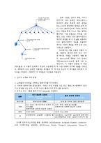 컴퓨터 네트워크 - DNS에 대해-2