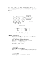 [신소재 기초실험] 산화공정-2