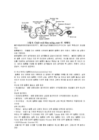 가공 실험 - 압출 성형-13