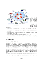 [정보통신과 컴퓨터] 유비쿼터스에 대해서-4