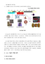 나노[Nano] 기술의 정의와 적용범위-2