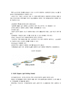 LED, OLED, LCD, PDP에 대하여 조사-2