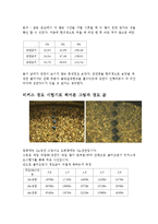 [신소재 공학] 재료의 침탄실험-4
