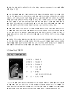 [건축] 건축가 필립스탁에 대해서-3