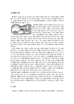 공학윤리 - 플라톤의 생애와 윤리사상-5